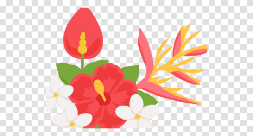 Tropical Flower Tropical Flower Clipart, Plant, Blossom, Hibiscus, Anther Transparent Png