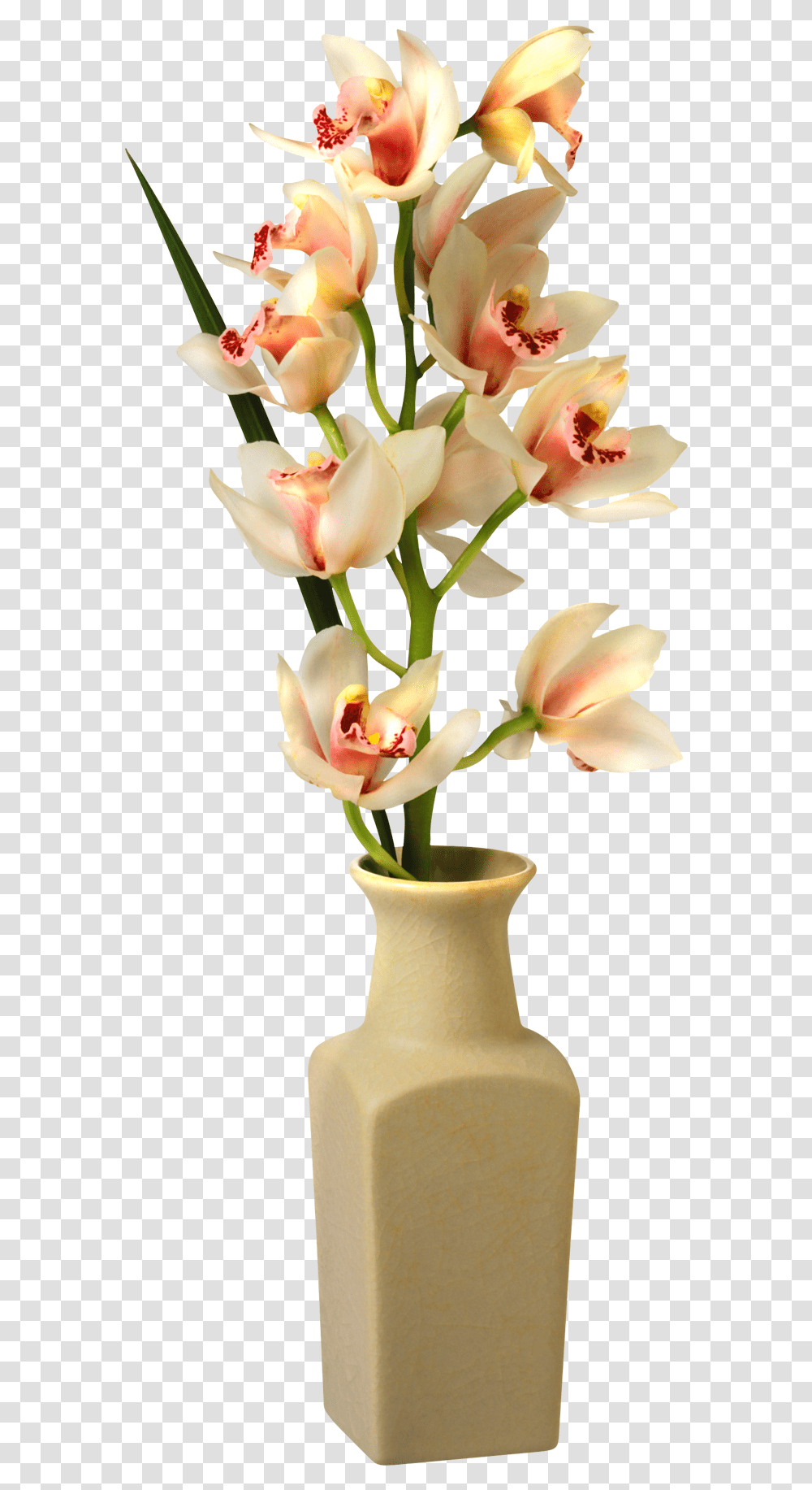 Tropical Flower Vase Flower Vase, Plant, Jar, Pottery, Blossom Transparent Png