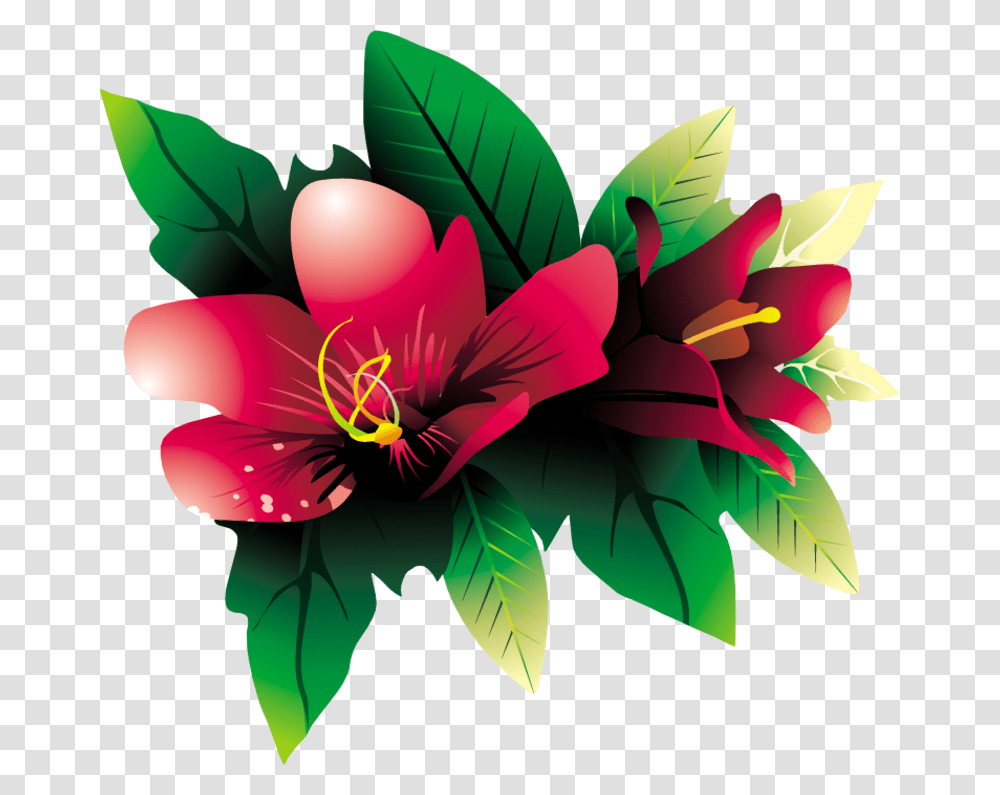 Tropical Flower Vector, Plant, Petal, Blossom, Leaf Transparent Png