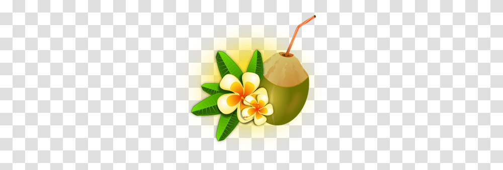 Tropical Flower With Coconut Drink Clip Arts For Web, Plant, Vegetable, Food, Tennis Ball Transparent Png