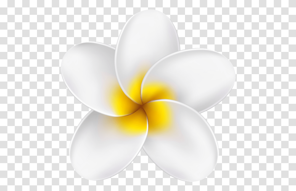 Tropical Flower Yellow Clipart, Petal, Plant, Blossom, Lamp Transparent Png