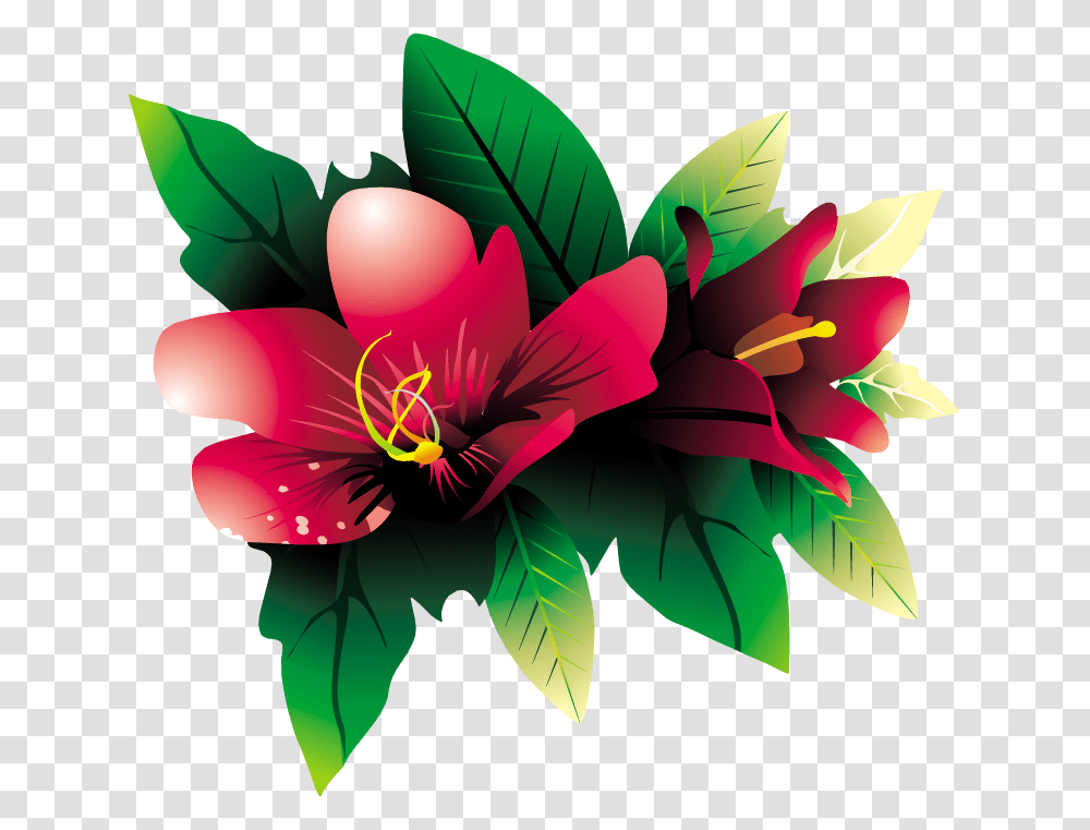 Tropical Flowers Background, Plant, Floral Design Transparent Png
