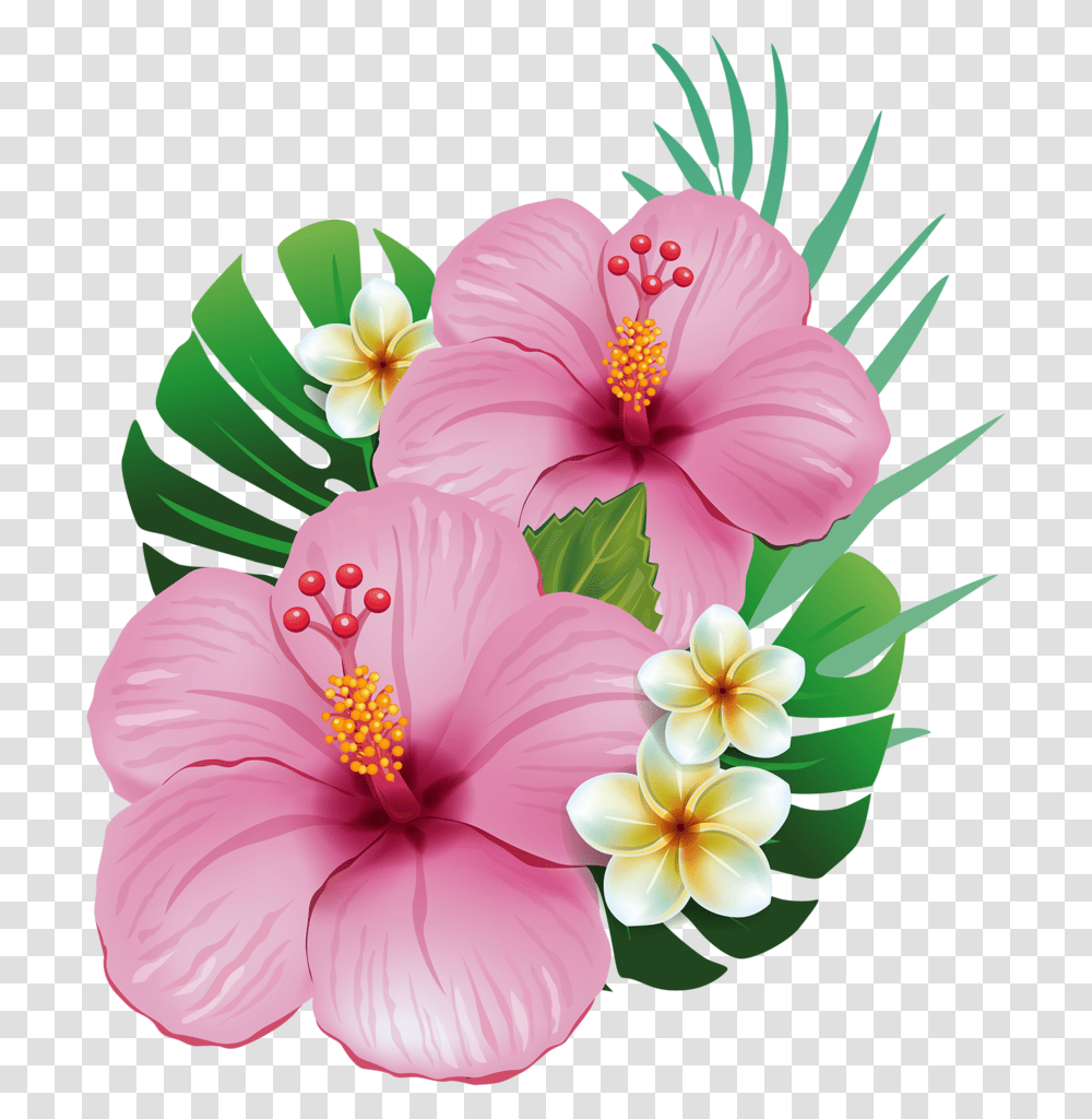 Tropical Flowers Clipart Moana Flores, Hibiscus, Plant, Blossom, Pollen Transparent Png