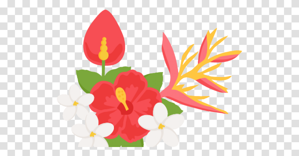 Tropical Flowers Clipart Tropical Clipart Tropical Flower Background, Plant, Blossom, Hibiscus, Anther Transparent Png
