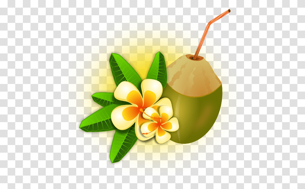 Tropical Flowers Cliparts, Plant, Fruit, Food, Nut Transparent Png