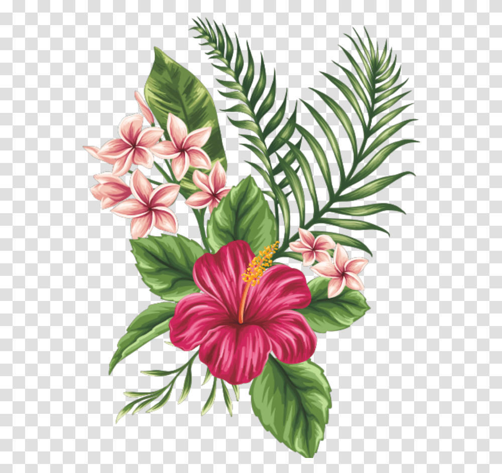 Tropical Flowers Drawing, Plant, Floral Design Transparent Png