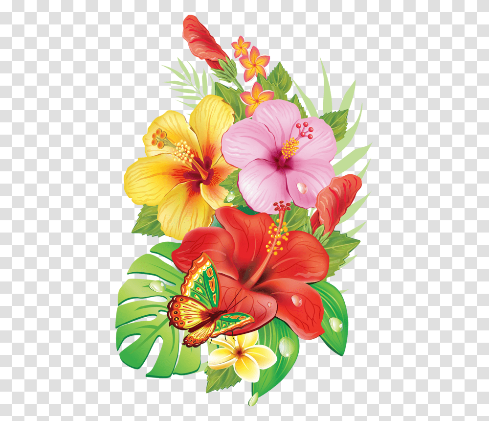 Tropical Flowers Drawings, Hibiscus, Plant, Blossom Transparent Png