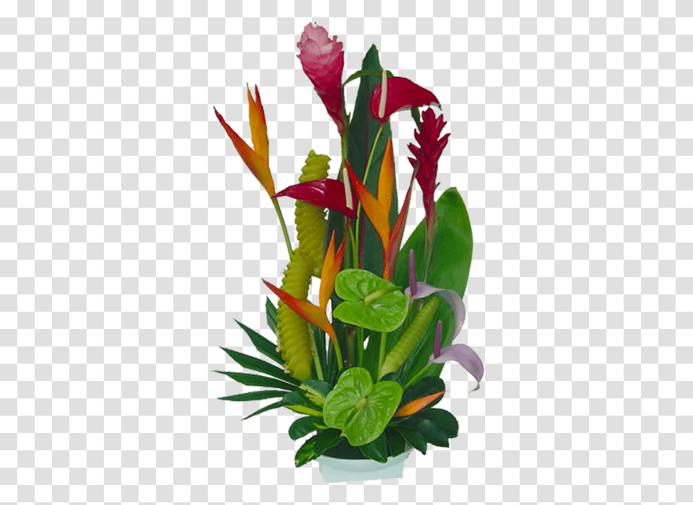 Tropical Flowers Florida Landscaping 20710 Flower, Plant, Anthurium, Ikebana, Art Transparent Png