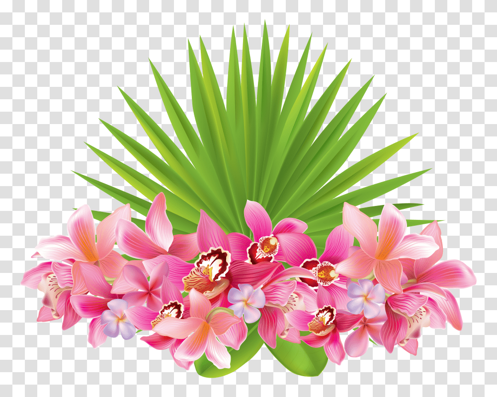 Tropical Flowers Flowerspng Images Tropical Flowers Clipart Transparent Png