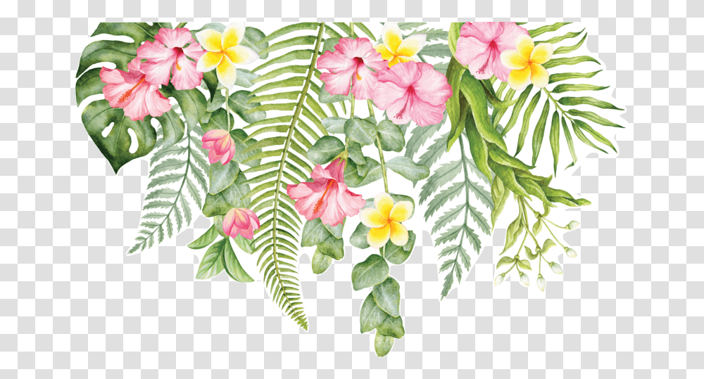 Tropical Flowers For Greenery Background Tropical Flowers, Plant, Blossom, Geranium, Pattern Transparent Png