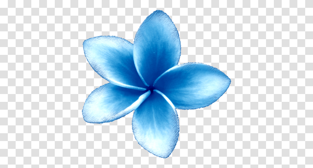 Tropical Flowers Get Free Animated Blue River Blue Blue Flower Clipart, Petal, Plant, Blossom, Geranium Transparent Png