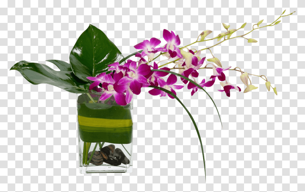 Tropical Flowers Tropical Breeze 17042593840 Bouquet Vase, Plant, Person, Flower Arrangement, Ikebana Transparent Png