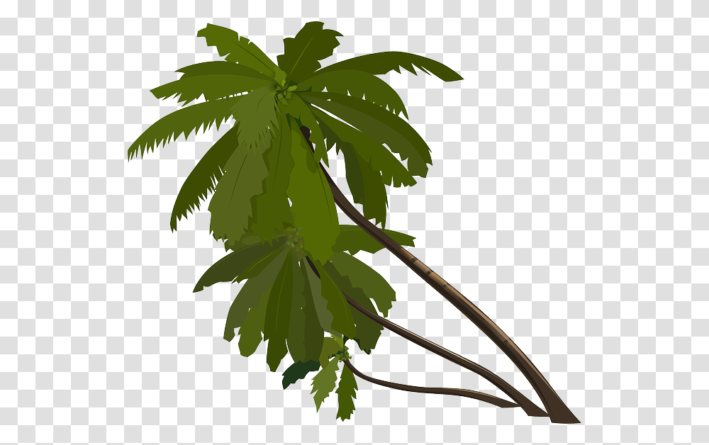Tropical Forest Gk, Plant, Leaf, Tree, Green Transparent Png