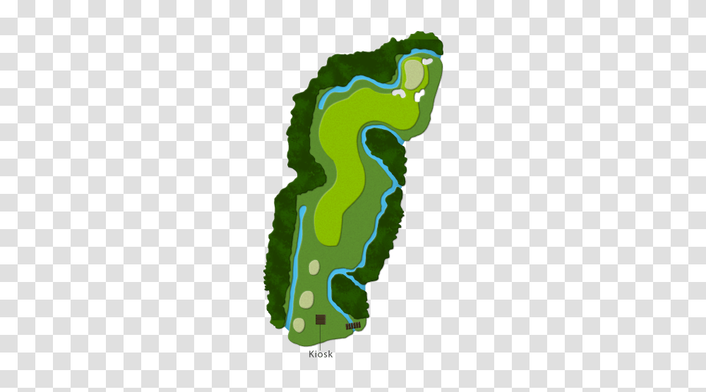 Tropical Golf Site In Indonesia Riverside Golf Club, Plant, Sea Life, Animal, Mammal Transparent Png