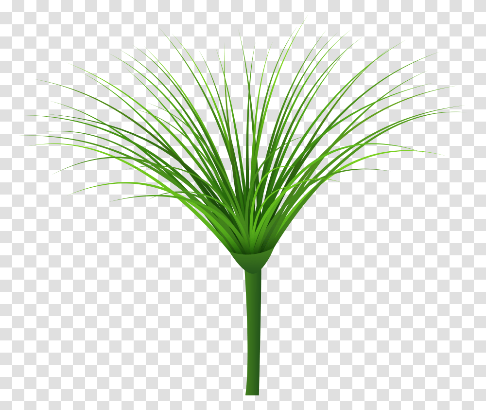 Tropical Green Leaf Clip Art, Plant, Bamboo Transparent Png