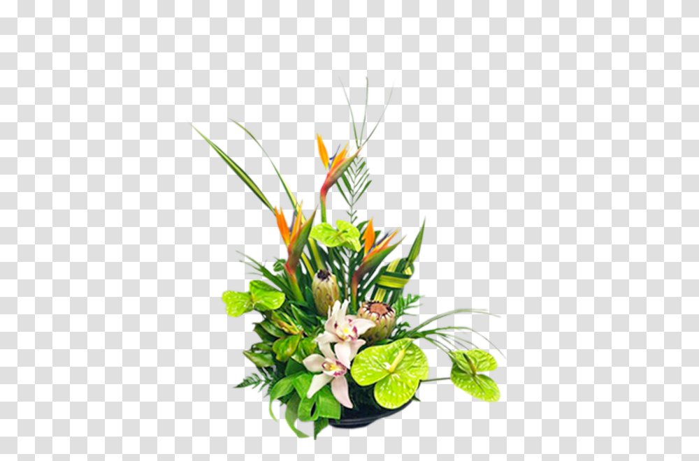 Tropical Green, Plant, Flower Bouquet, Flower Arrangement, Blossom Transparent Png
