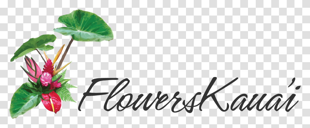 Tropical Hawaii Flower Arrangements Shipped Nationwide Language, Text, Outdoors, Nature, Icing Transparent Png