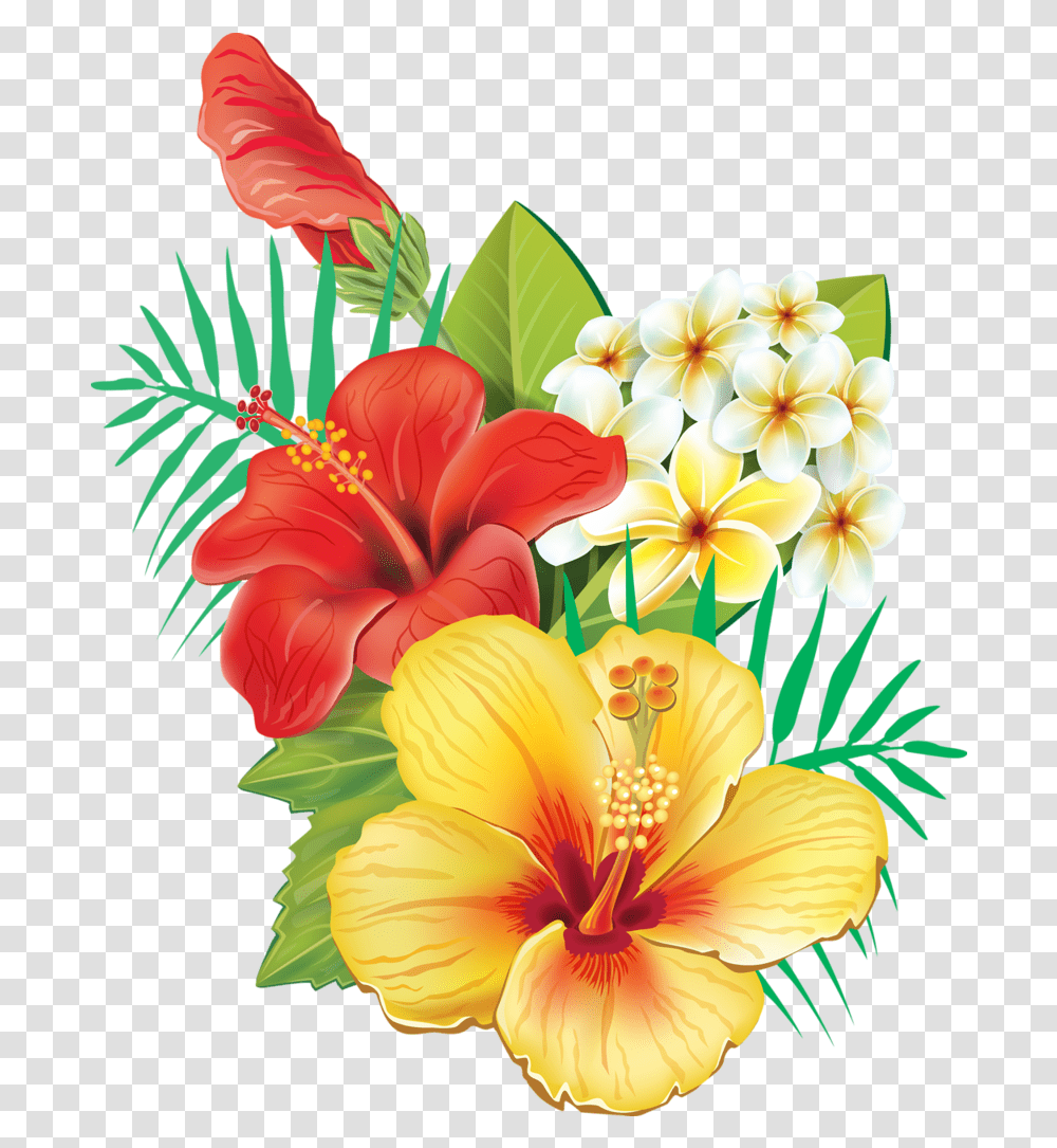 Tropical Hawaiian Flowers, Plant, Hibiscus, Blossom, Pollen Transparent Png