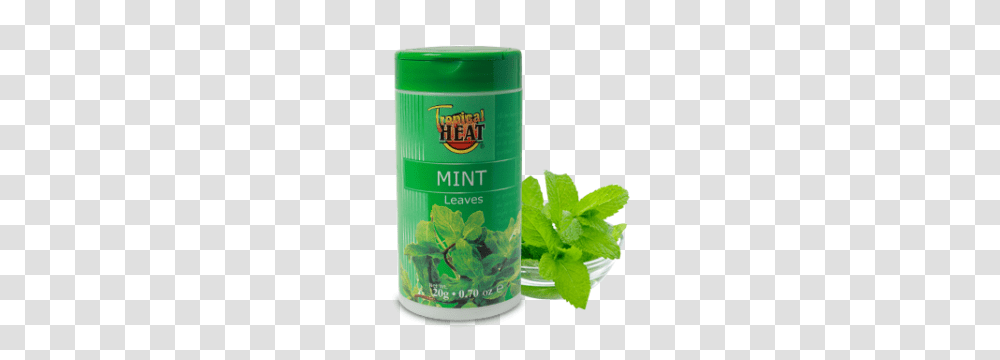 Tropical Heat Mint Rubbed Jar, Potted Plant, Vase, Pottery, Planter Transparent Png