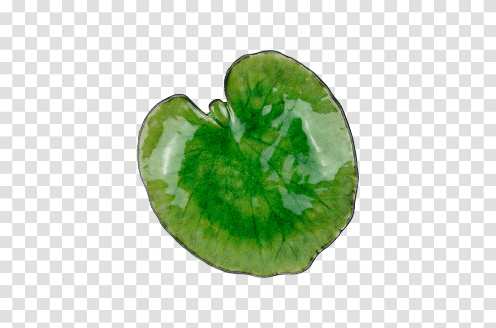 Tropical Hotels And Restaurants To Brighten Up Your Winter Heart, Leaf, Plant, Tennis Ball, Sport Transparent Png