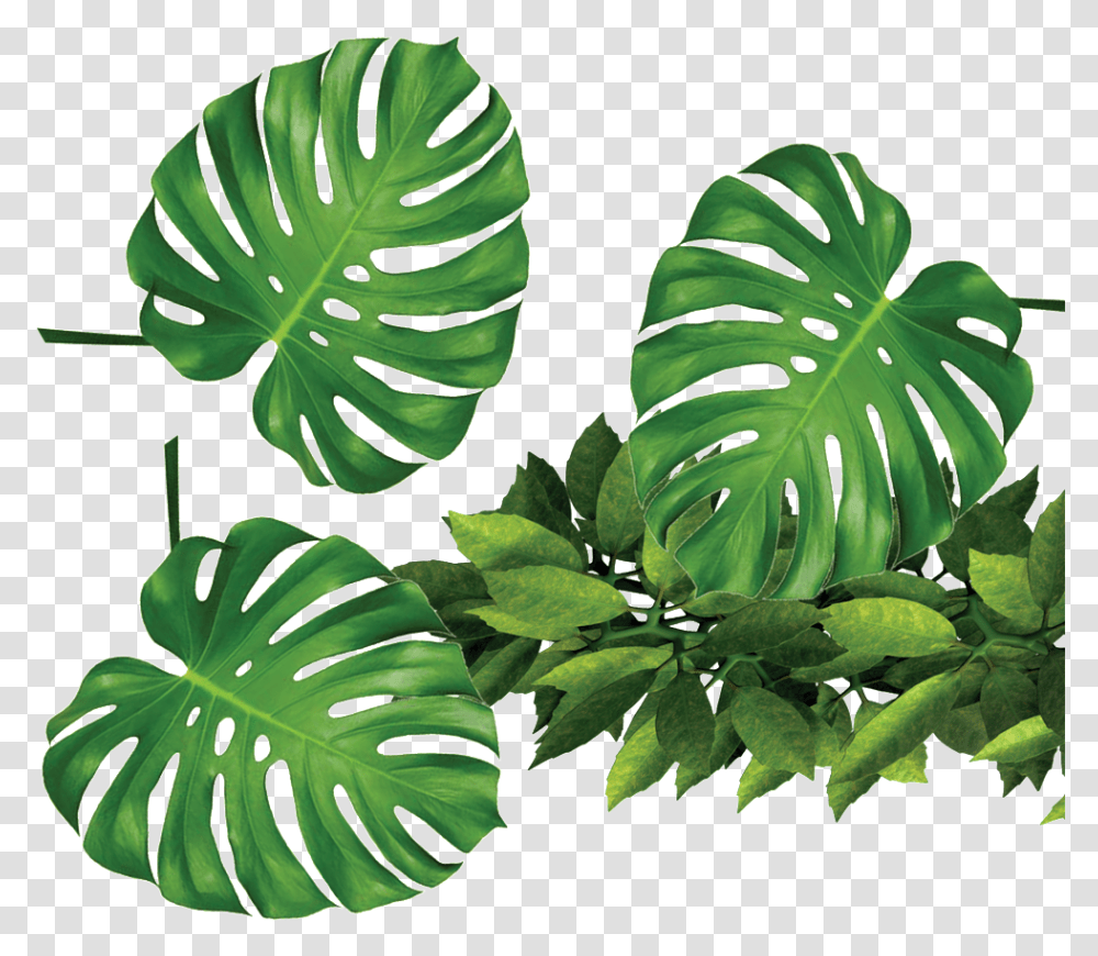 Tropical Leaf Background, Plant, Green, Vegetation, Flower Transparent Png