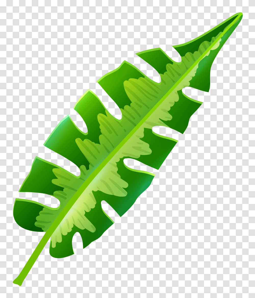 Tropical Leaf Cliparts, Green, Plant, Fern Transparent Png