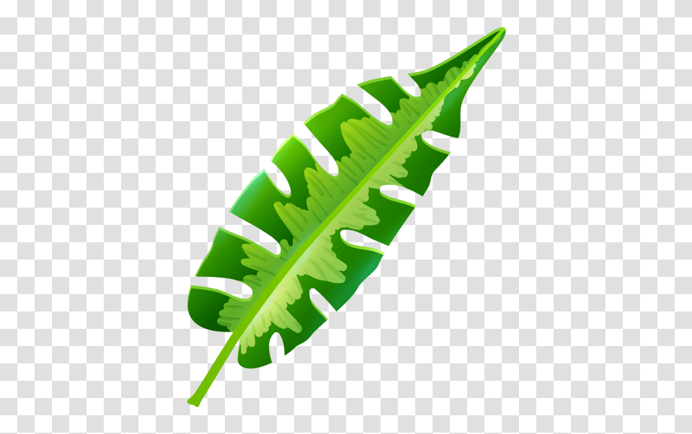 Tropical Leaf, Green, Plant, Fern, Vegetable Transparent Png