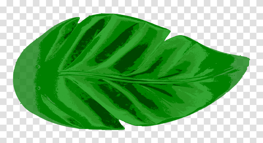 Tropical Leaf Icons, Plant, Veins, Green, Droplet Transparent Png