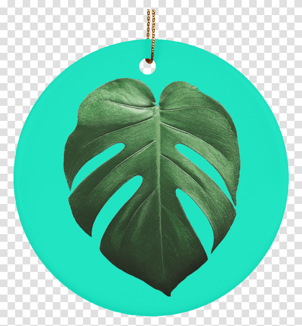 Tropical Leaf, Plant, Droplet, Logo Transparent Png