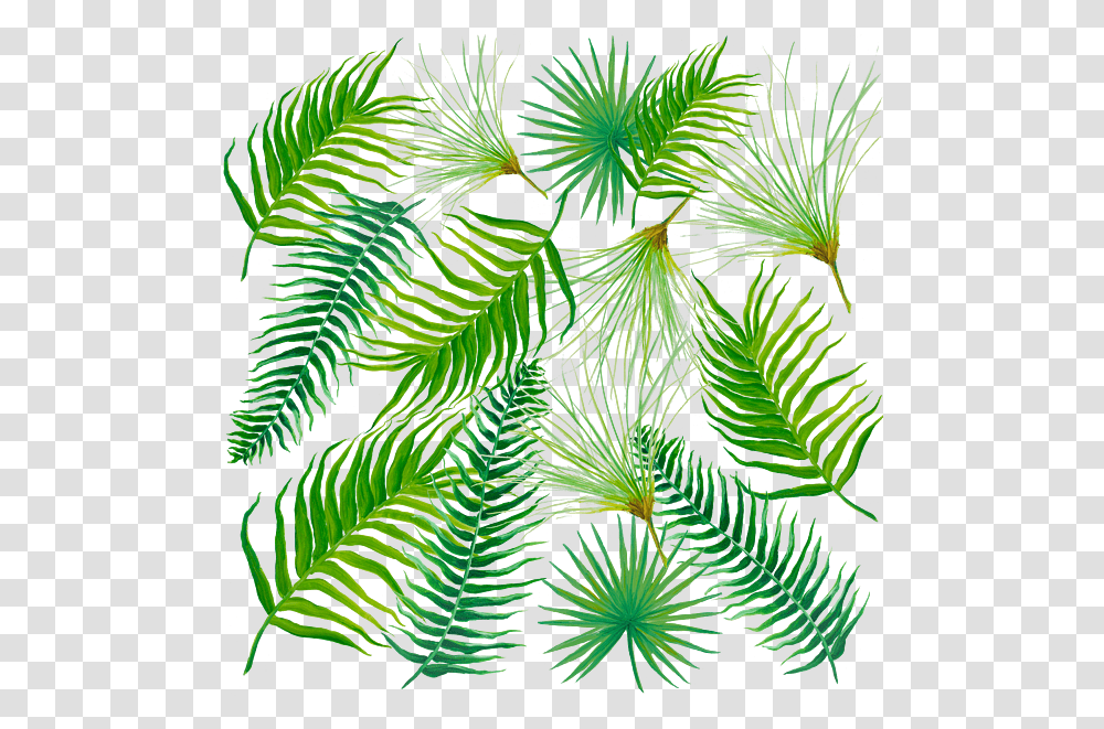 Tropical Leaves And Ferns Round Beach Towel Leaf, Green, Plant, Pattern, Tree Transparent Png