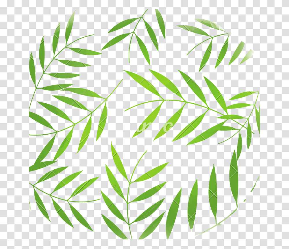 Tropical Leaves Background Design Vector Illustration, Leaf, Plant, Green, Fern Transparent Png