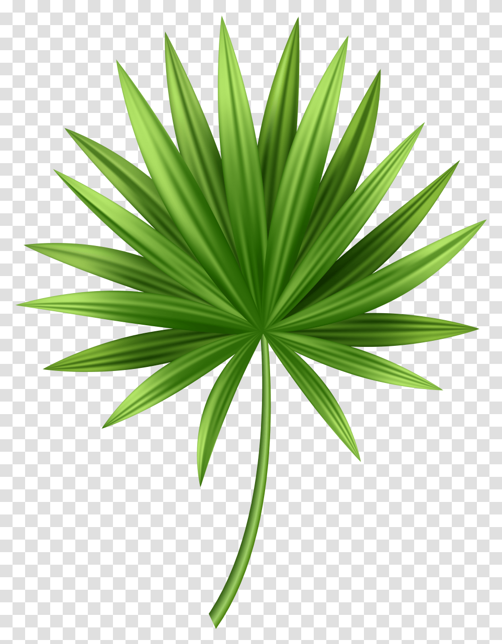 Tropical Leaves Clip Art Tropical Leaves Transparent Png