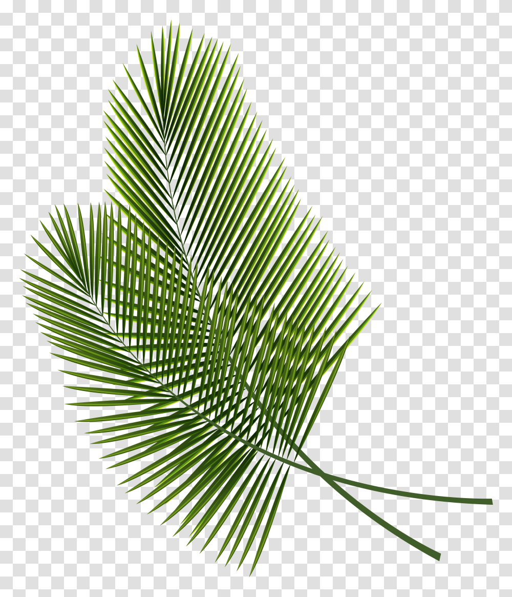 Tropical Leaves Clipart, Green, Plant, Leaf, Tree Transparent Png