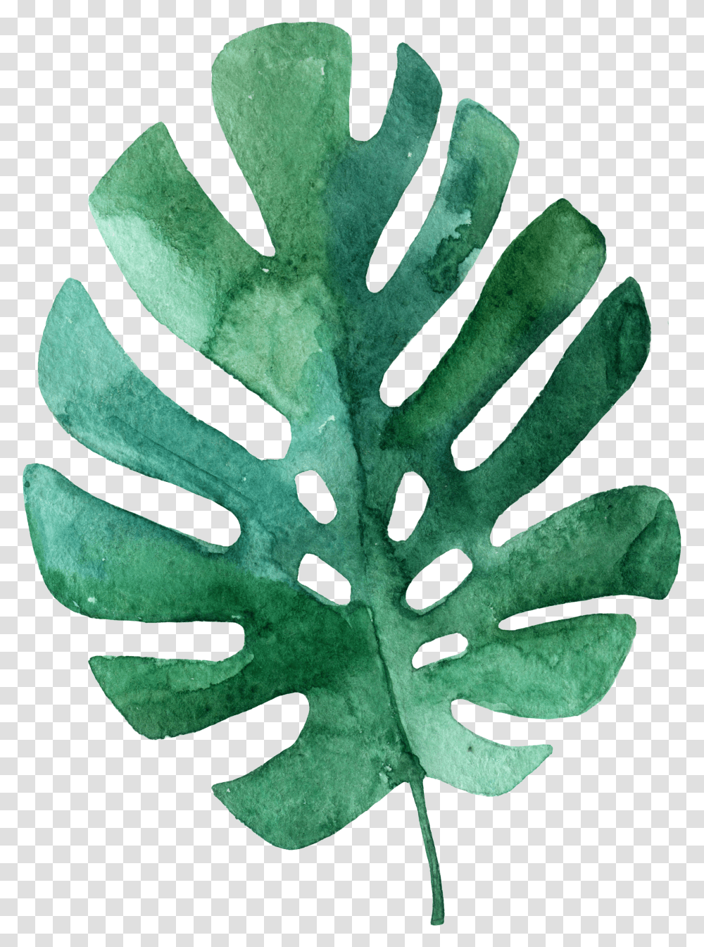 Tropical Leaves Hand Drawn Easy Tropical Leaf Drawing Transparent Png