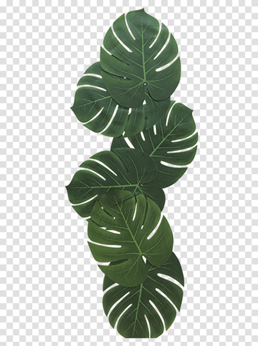 Tropical Leaves Illustration, Leaf, Plant, Home Decor, Green Transparent Png