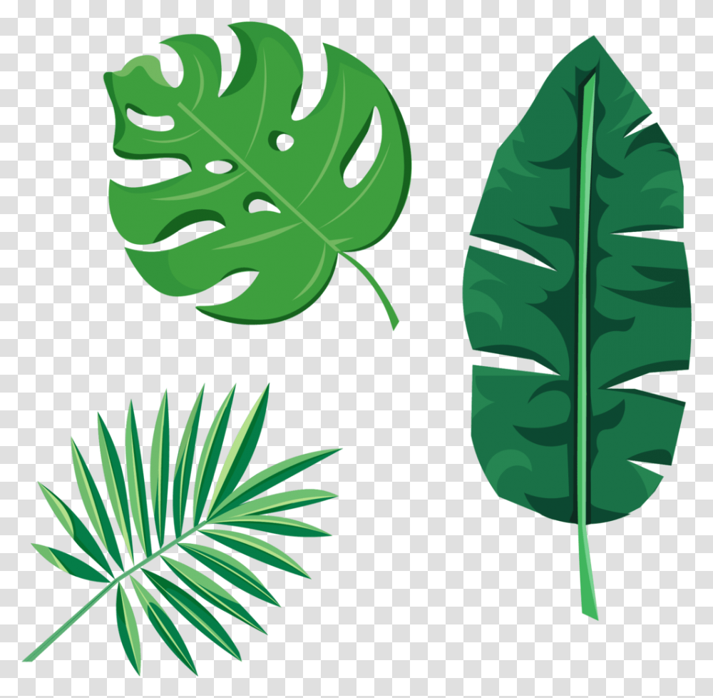 Tropical Leaves, Leaf, Plant, Green, Fern Transparent Png