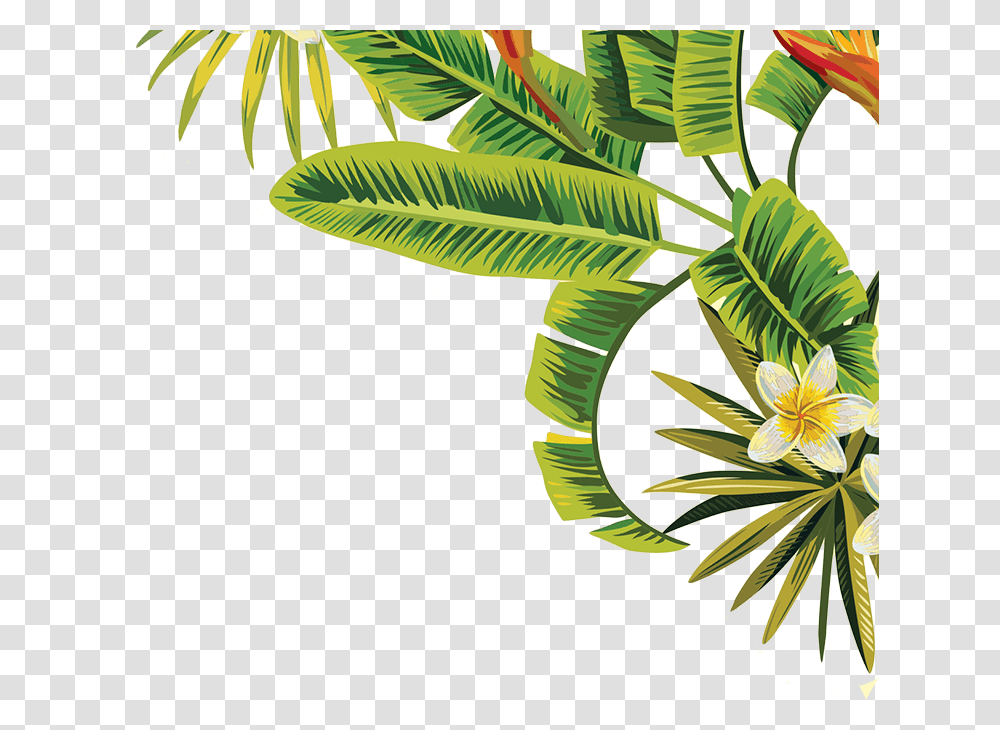 Tropical Leaves, Leaf, Plant, Vegetation, Flower Transparent Png