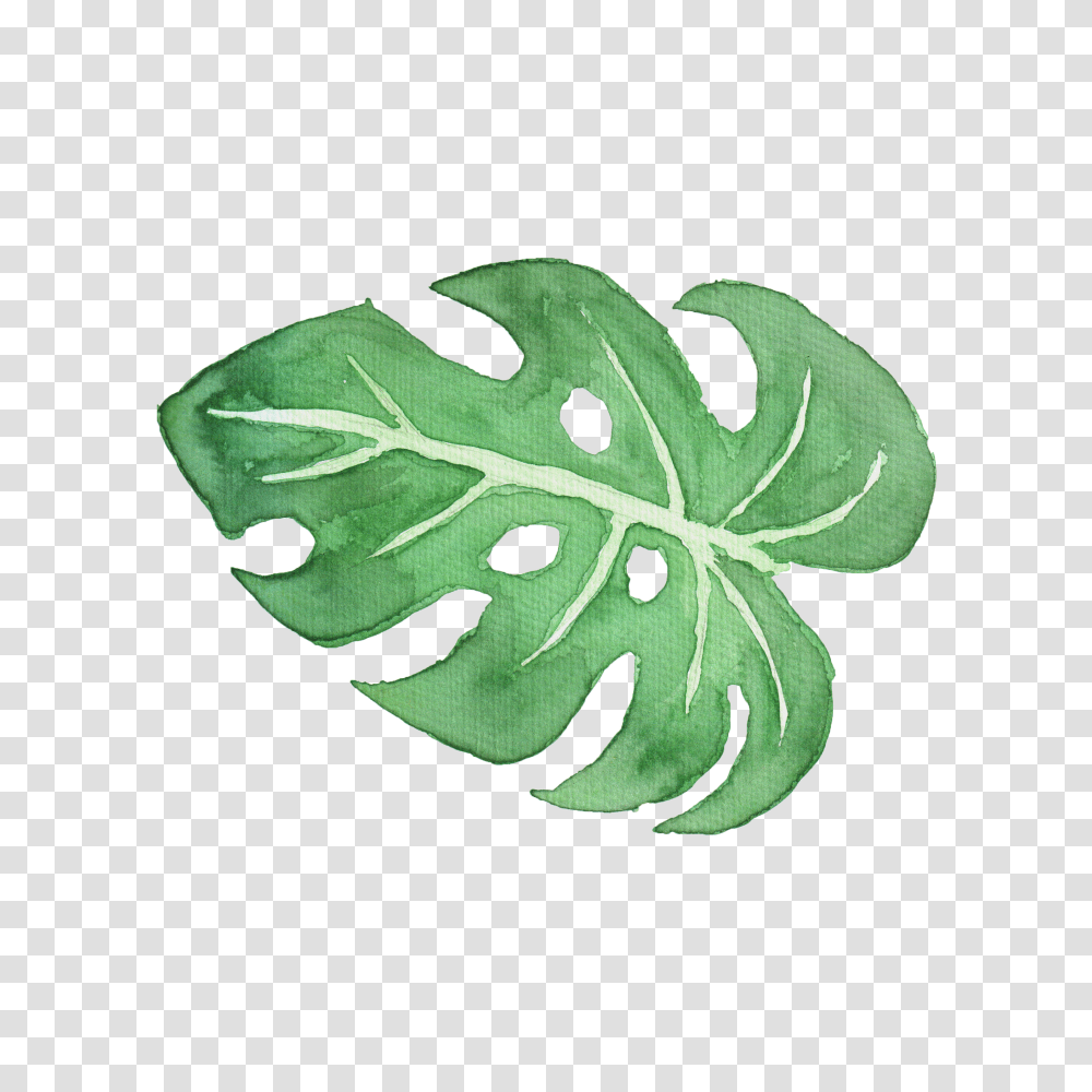 Tropical Leaves On Behance Transparent Png