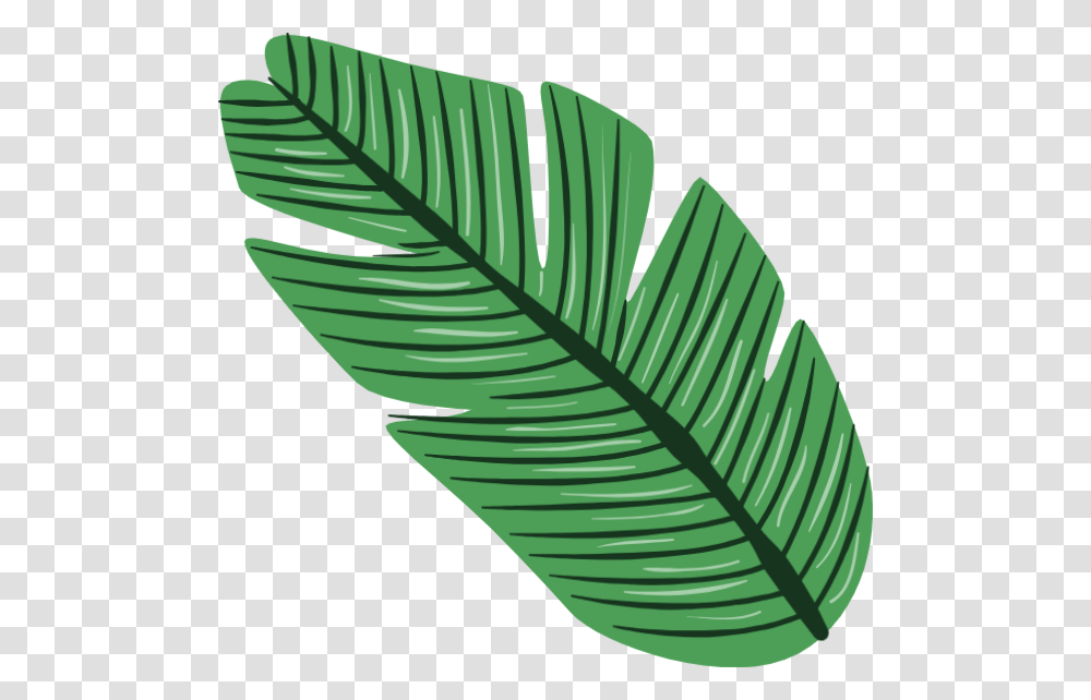 Tropical Leaves Vector, Leaf, Plant, Green, Veins Transparent Png