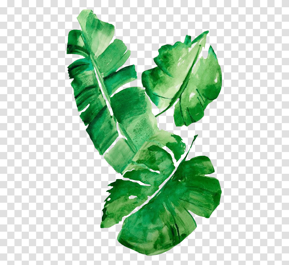 Tropical Leaves Watercolor, Leaf, Plant, Veins, Green Transparent Png