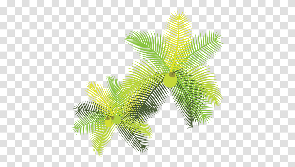 Tropical Leaves With Coconuts Folhas Tropicais, Leaf, Plant, Green, Fish Transparent Png