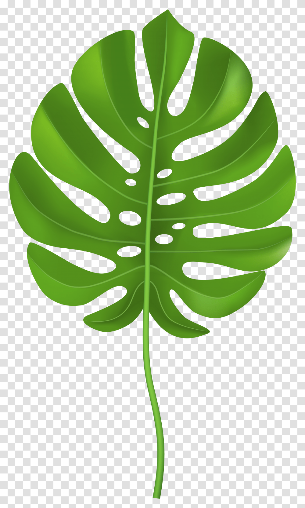Tropical Palm Leaf Clip Art Image Clip Art Palm Leaf, Green, Plant, Vegetation, Fern Transparent Png