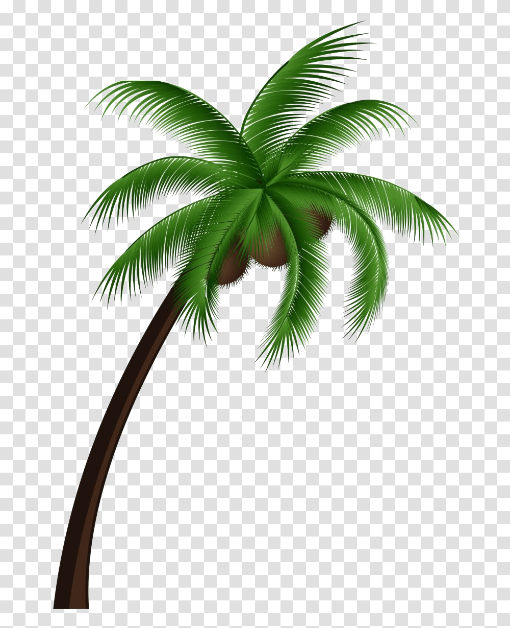 Tropical Palm Tree Coconut Tree Clipart, Plant, Arecaceae, Leaf, Green Transparent Png