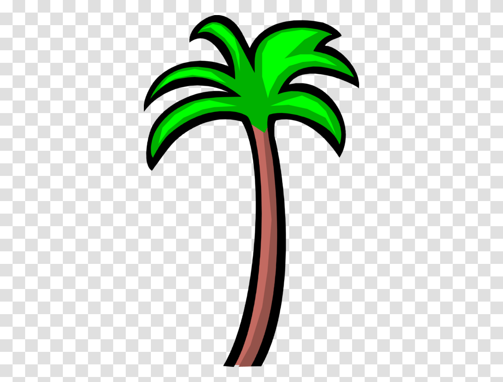 Tropical Palm Tree, Plant, Arecaceae, Green, Flower Transparent Png