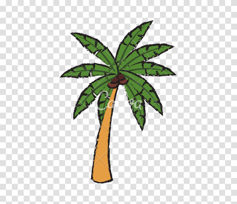 Tropical Palm Tree Sketch, Plant, Leaf, Arecaceae, Weed Transparent Png
