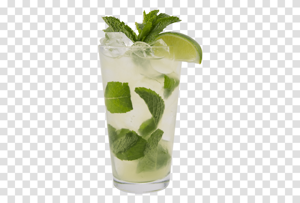 Tropical Passion Fruit Mojito Recipe Mojito Hd, Potted Plant, Vase, Jar, Pottery Transparent Png