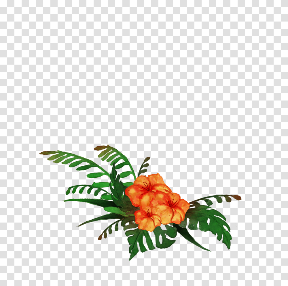 Tropical, Plant, Acanthaceae, Flower, Leaf Transparent Png