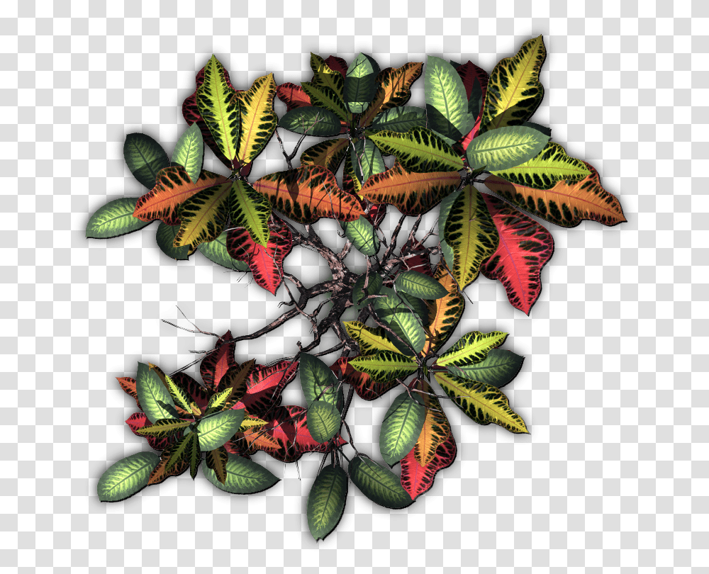 Tropical Plants Dundjinni Jungle Plants, Ornament, Pattern, Fractal, Pineapple Transparent Png