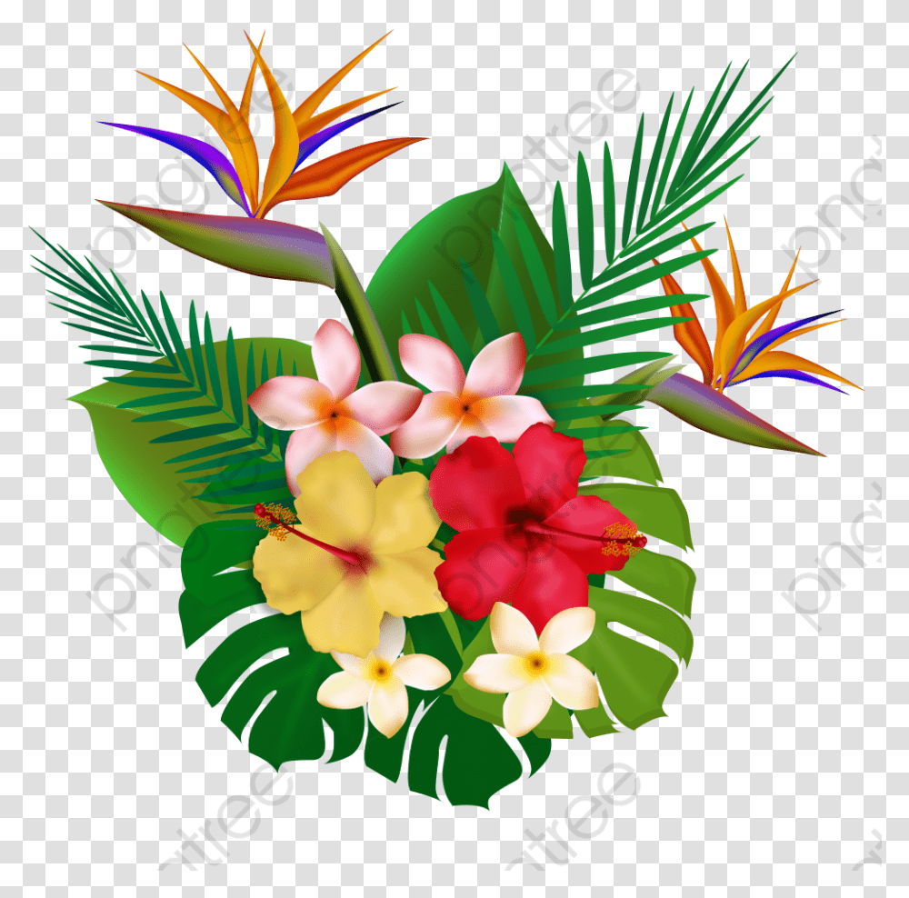 Tropical Plants Plants Clipart Flowers Tropical Hawaii Plants, Floral Design, Pattern, Petal Transparent Png