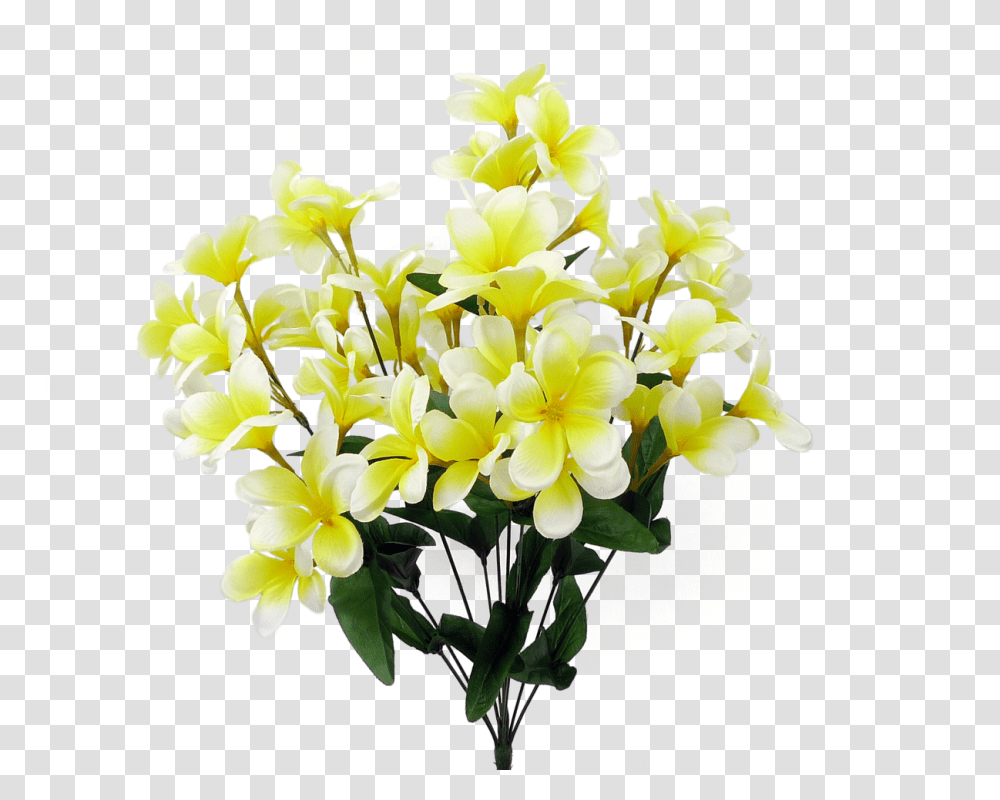 Tropical Plumeria Bush Creamyllw Bouquet, Plant, Flower, Blossom, Flower Arrangement Transparent Png